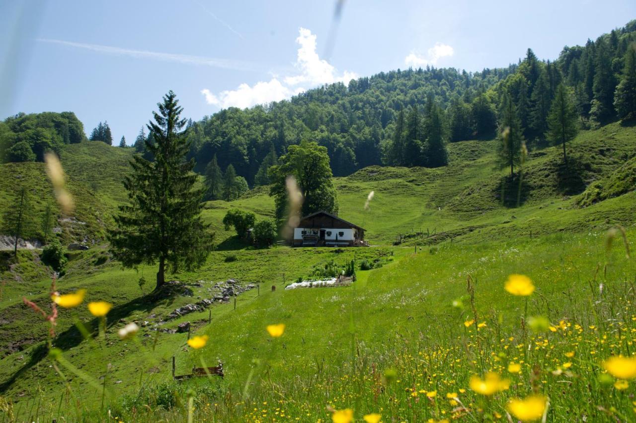 Classic Rooms By Crystal Sankt Johann in Tirol Luaran gambar